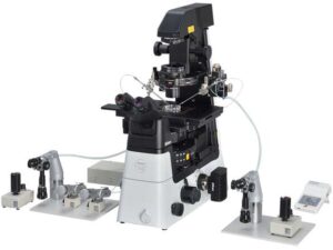 Nikon ECLIPSE Ti2-U Phase Contrast Microscope