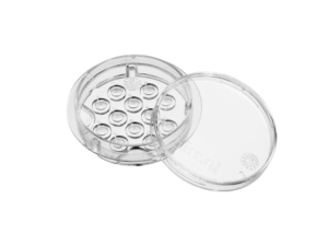 BIRR Culture dish 35mm Time Laps by 10x 113031TL